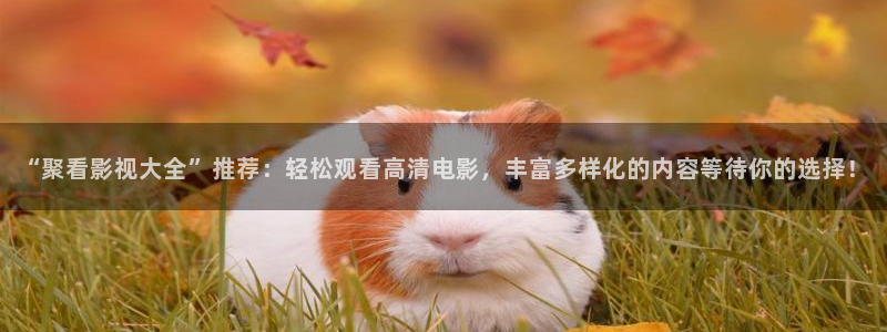 飘雪影院电影免费观看