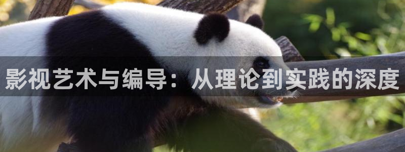 飘雪影院手机免费：影视艺术与编导：从理论到实践的深度