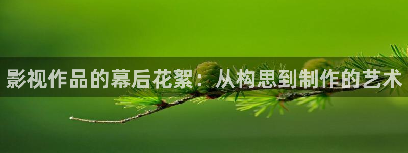 飘雪影院观看免费完整版 在线播放：影视作品的幕后花絮：从构思到制作的艺术