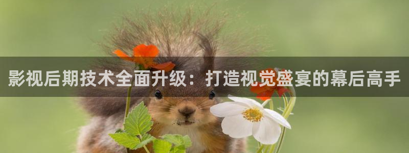 飘雪影院高清观看免费版