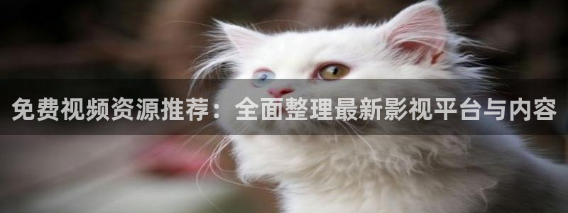 飘雪影院在线观看完整高清：免费视频资源推荐：全面整理最新影视平台与内容