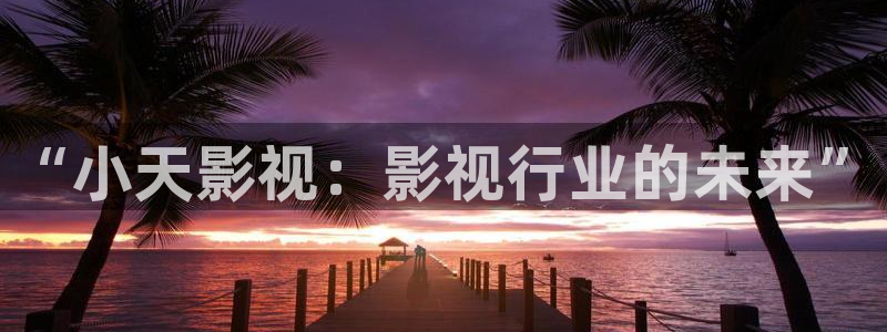 飘雪影院免费看电影：“小天影视：影视行业的未来”